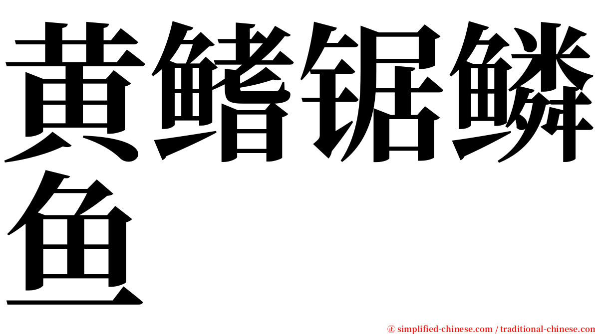 黄鳍锯鳞鱼 serif font