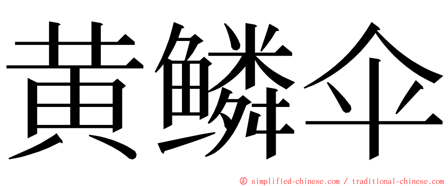 黄鳞伞 ming font