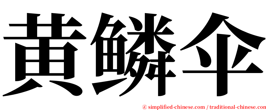 黄鳞伞 serif font