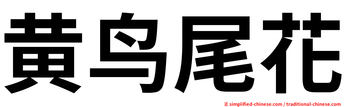 黄鸟尾花