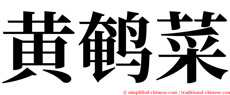 黄鹌菜 serif font