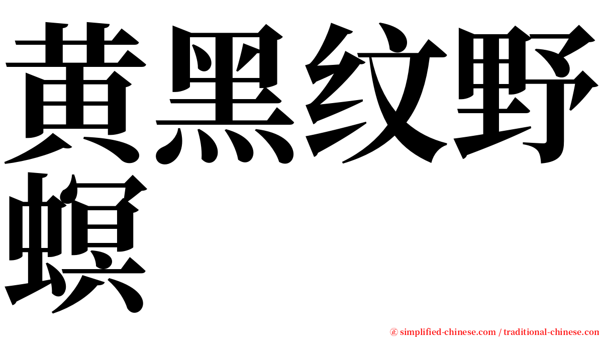 黄黑纹野螟 serif font