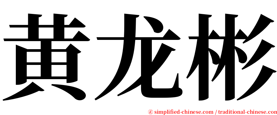 黄龙彬 serif font