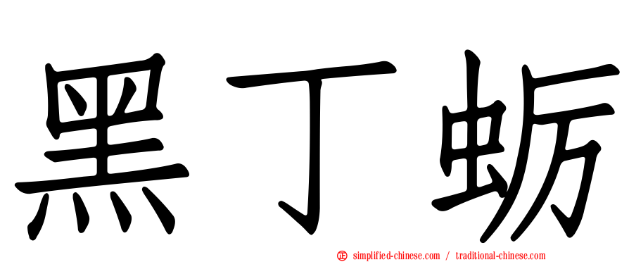 黑丁蛎
