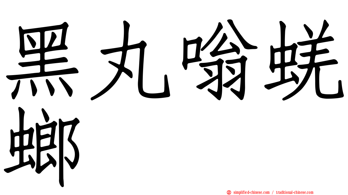 黑丸嗡蜣螂