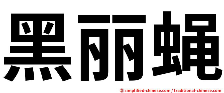 黑丽蝇