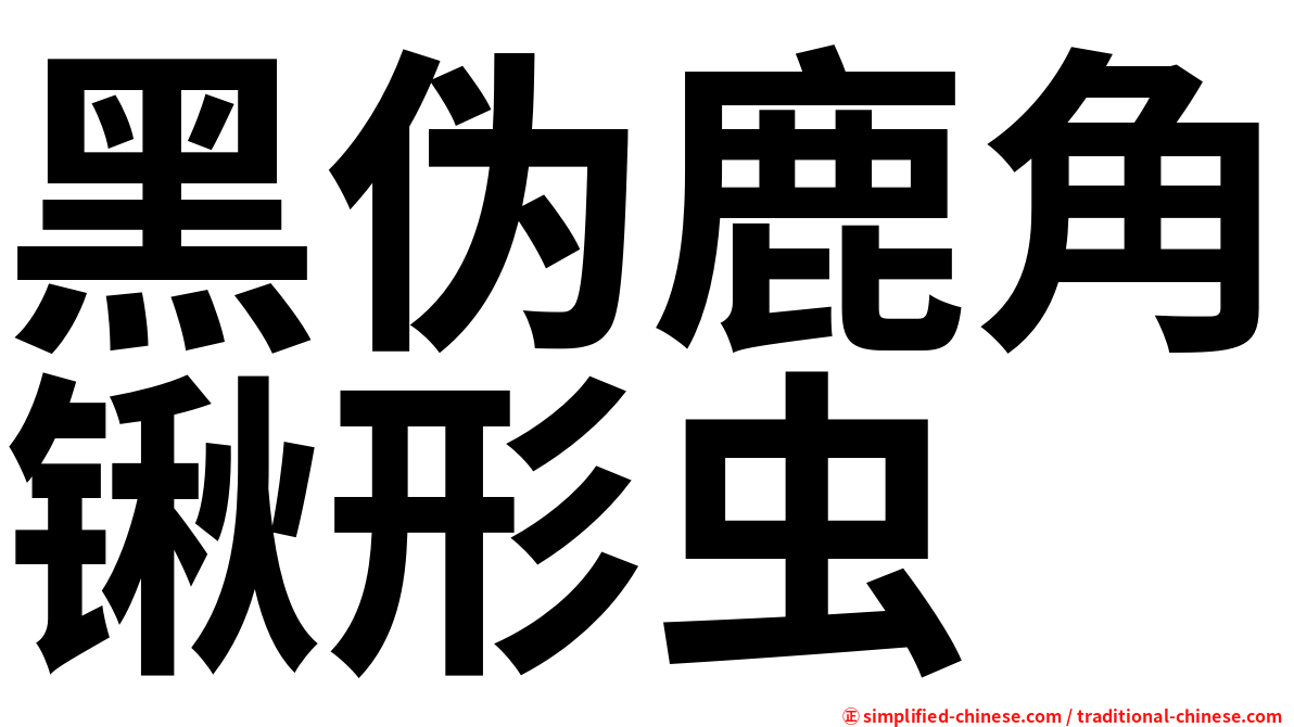 黑伪鹿角锹形虫