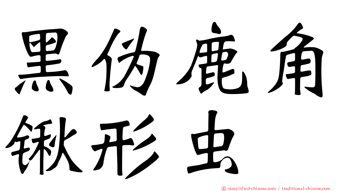 黑伪鹿角锹形虫