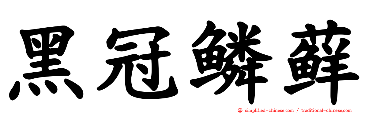 黑冠鳞藓