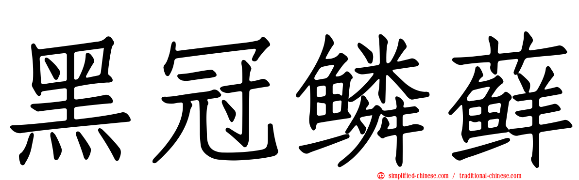 黑冠鳞藓