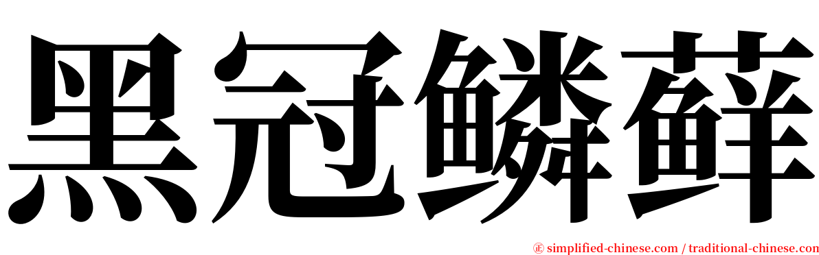 黑冠鳞藓 serif font