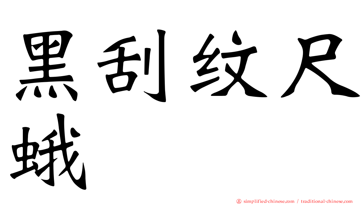 黑刮纹尺蛾
