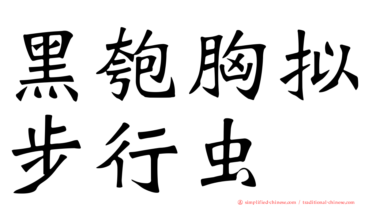 黑匏胸拟步行虫