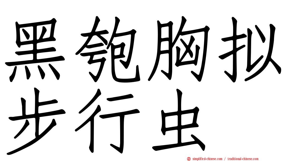 黑匏胸拟步行虫