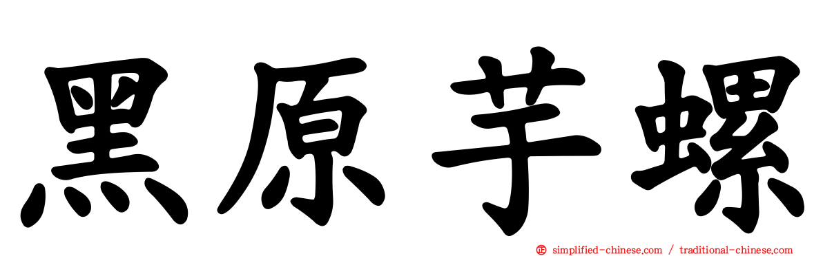 黑原芋螺