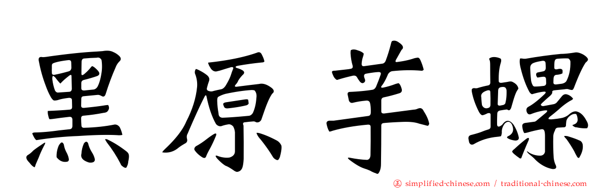 黑原芋螺