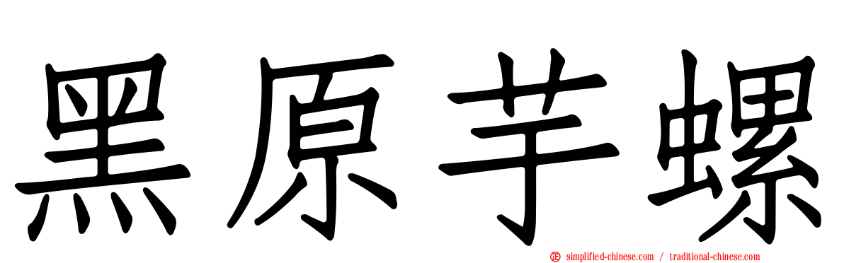 黑原芋螺
