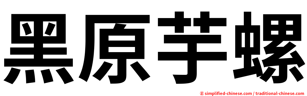 黑原芋螺