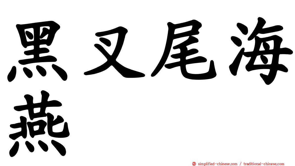 黑叉尾海燕