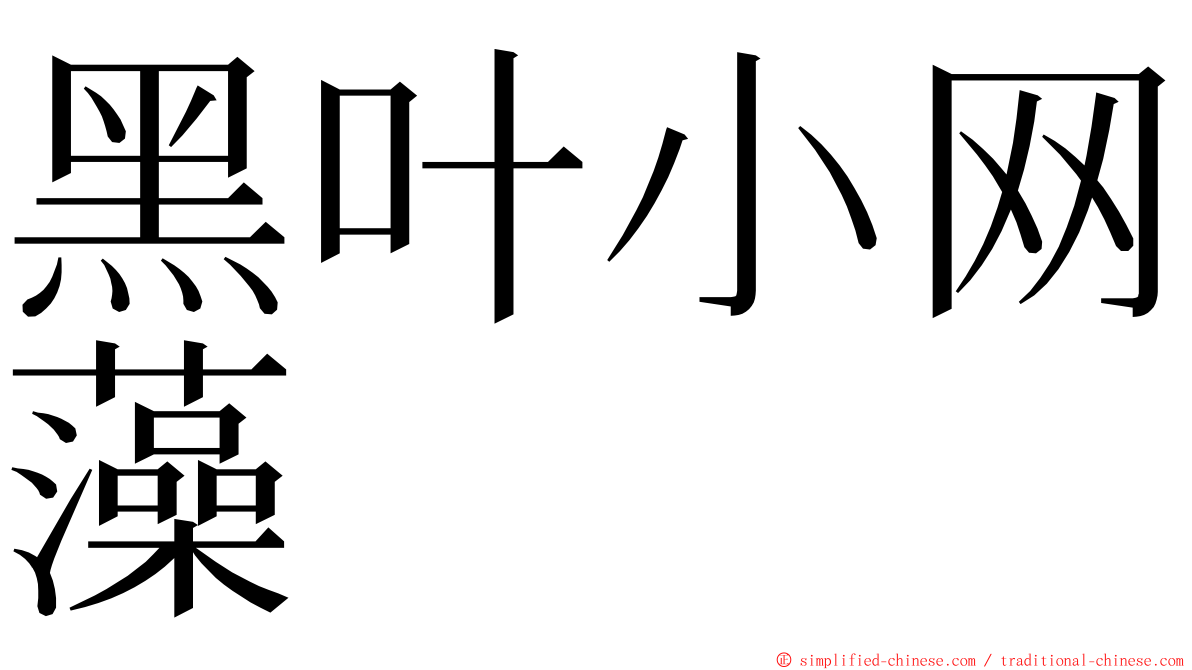 黑叶小网藻 ming font