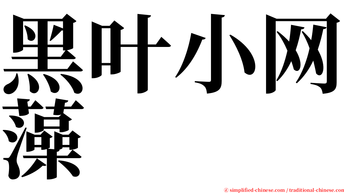 黑叶小网藻 serif font