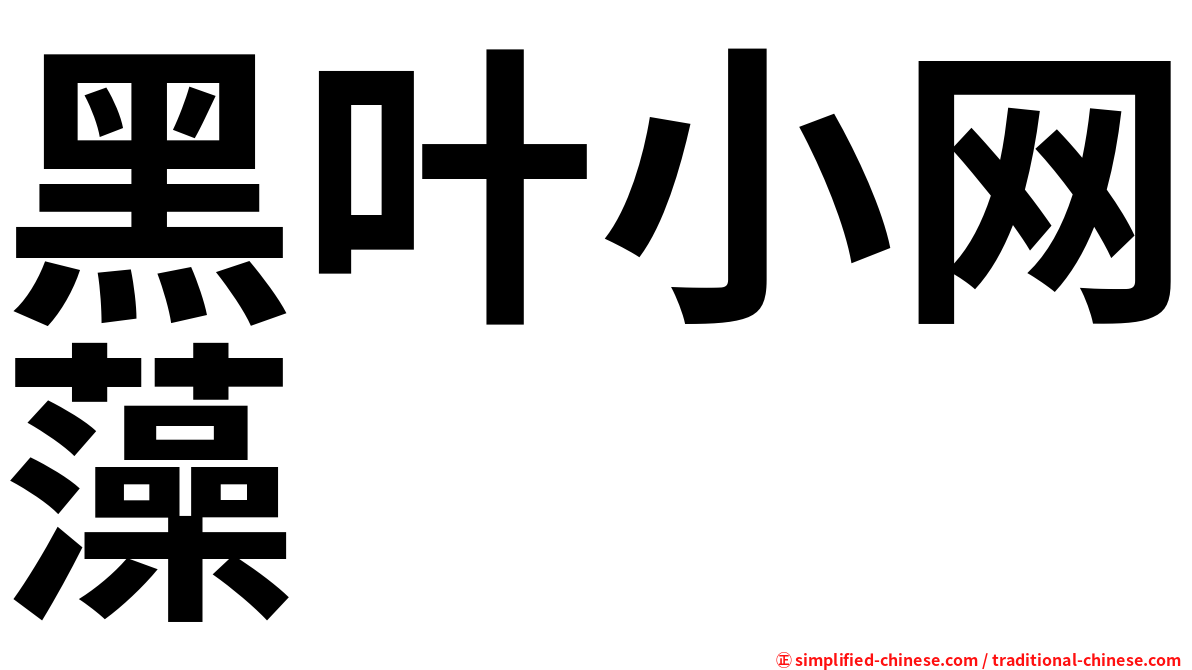 黑叶小网藻