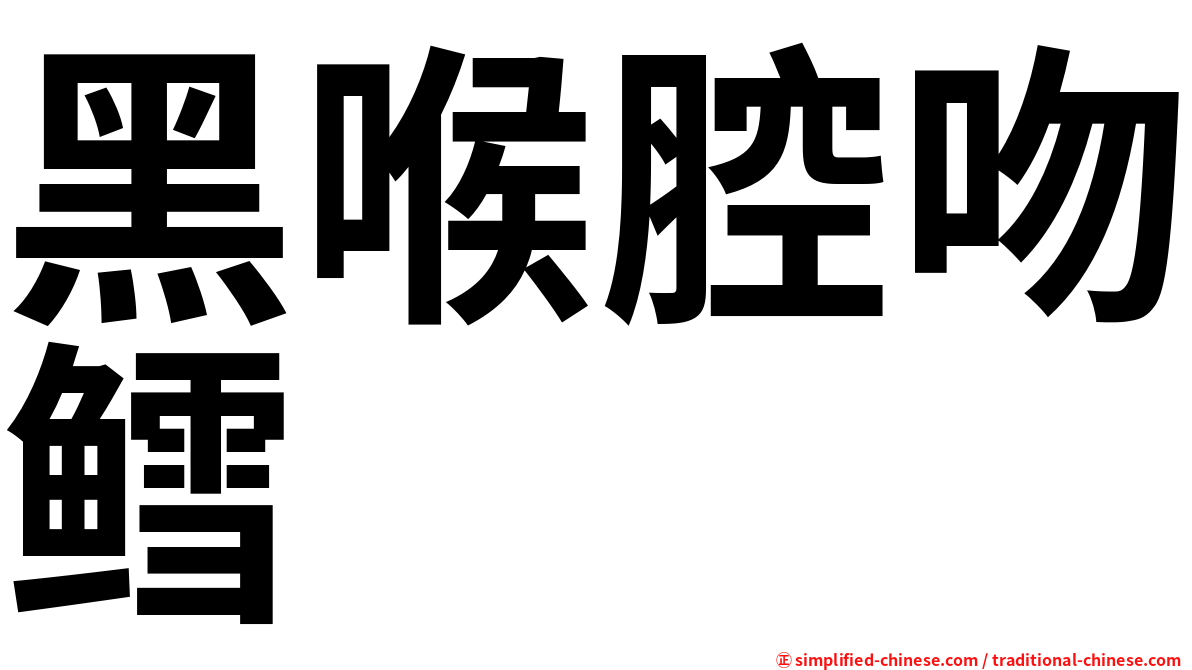 黑喉腔吻鳕