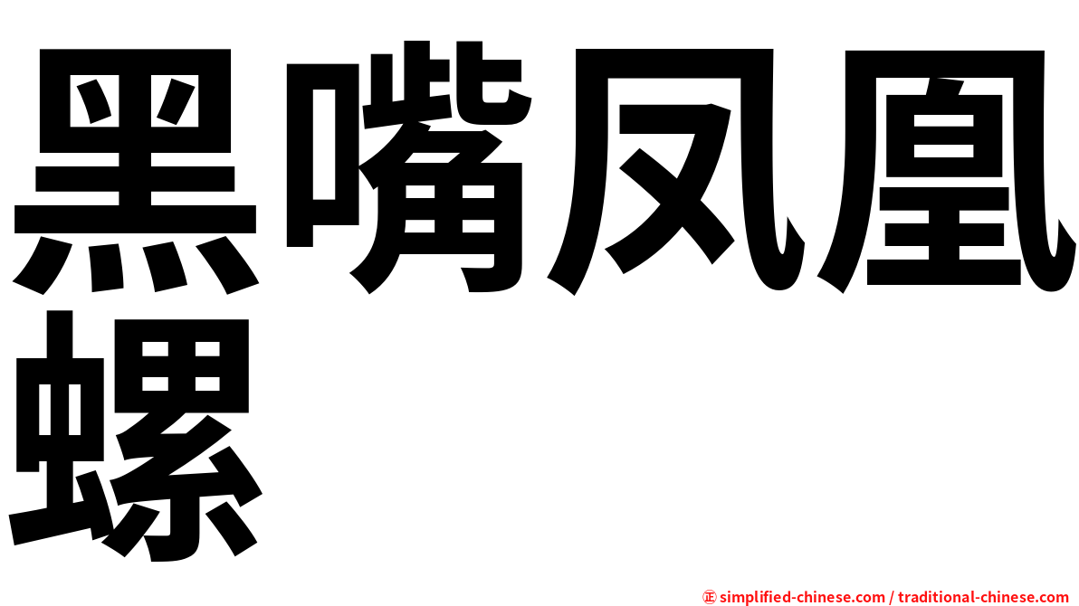 黑嘴凤凰螺