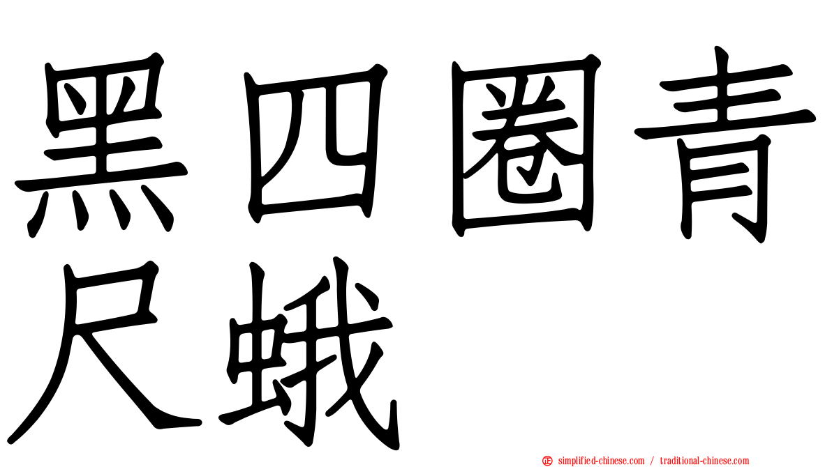 黑四圈青尺蛾