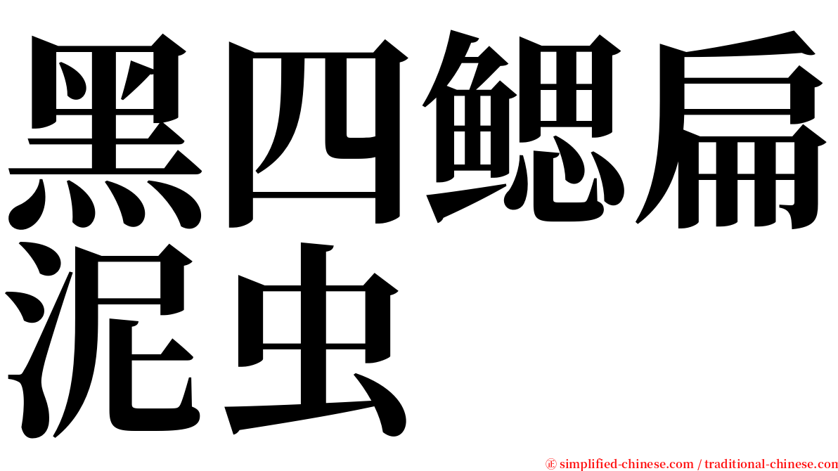 黑四鳃扁泥虫 serif font