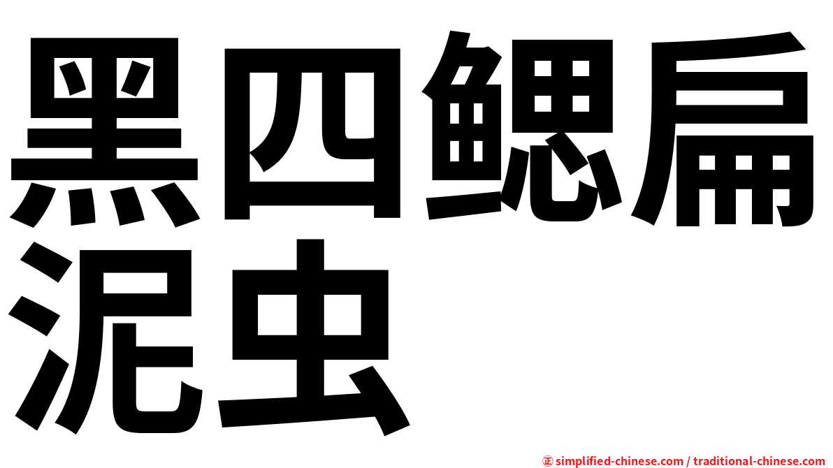 黑四鳃扁泥虫