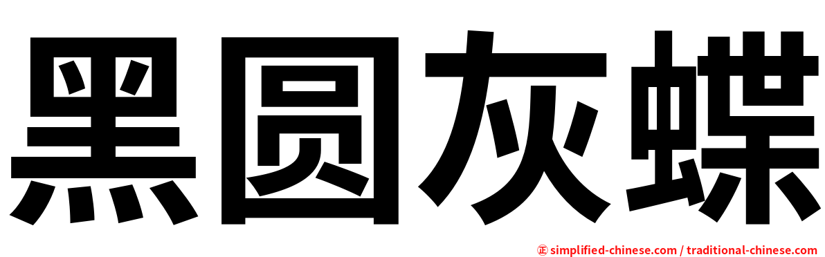 黑圆灰蝶