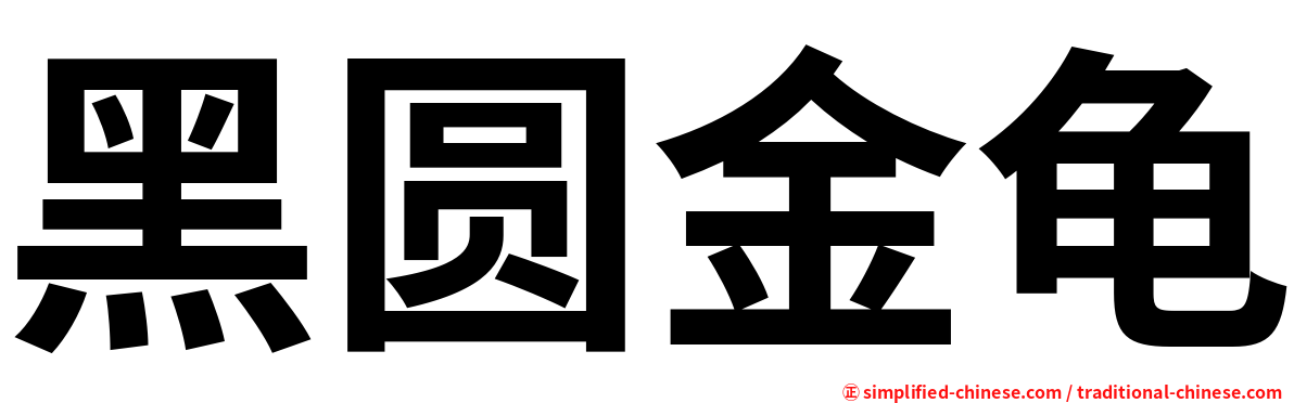 黑圆金龟