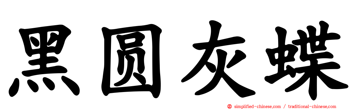 黑圆灰蝶