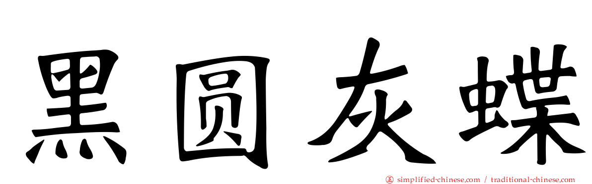 黑圆灰蝶