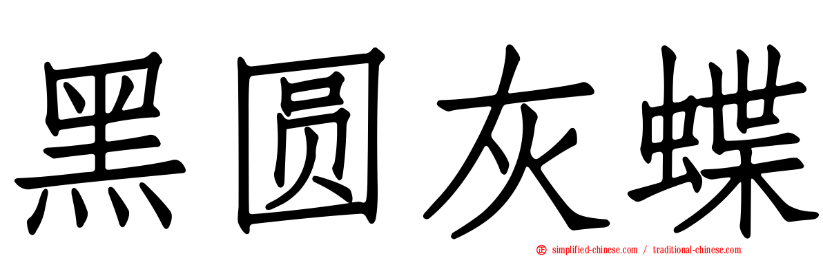 黑圆灰蝶