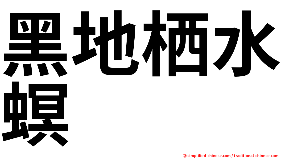 黑地栖水螟