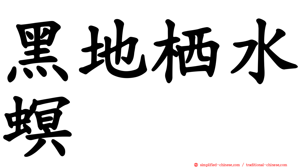 黑地栖水螟