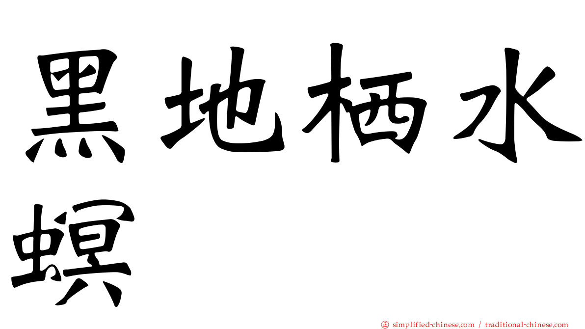 黑地栖水螟