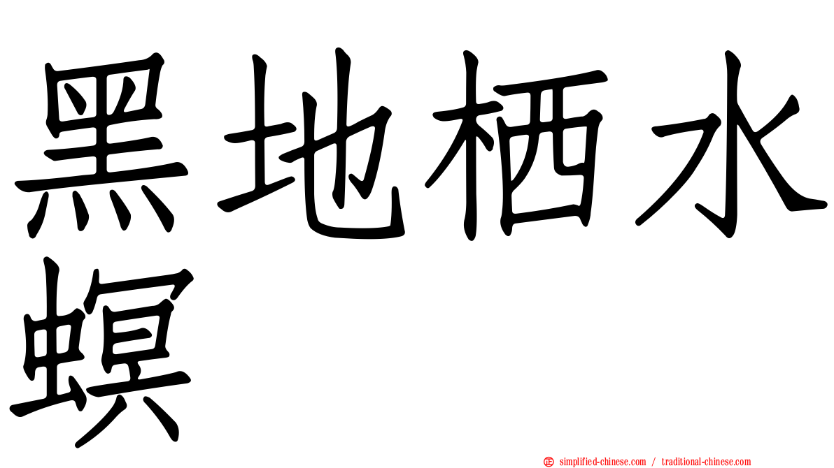黑地栖水螟
