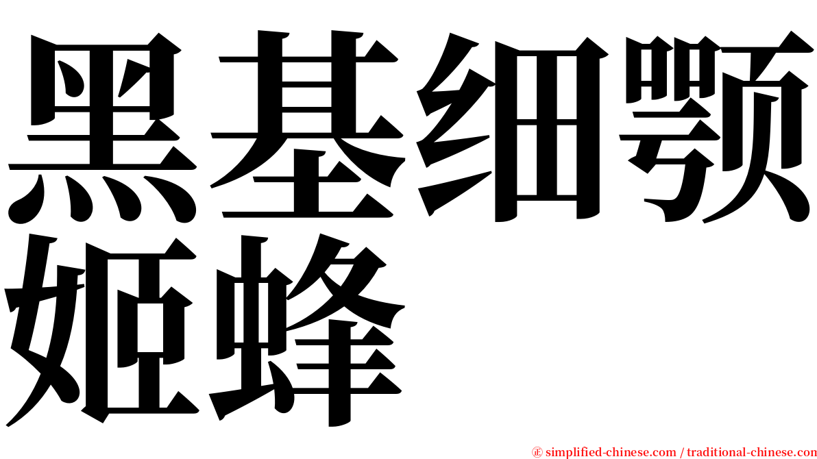 黑基细颚姬蜂 serif font