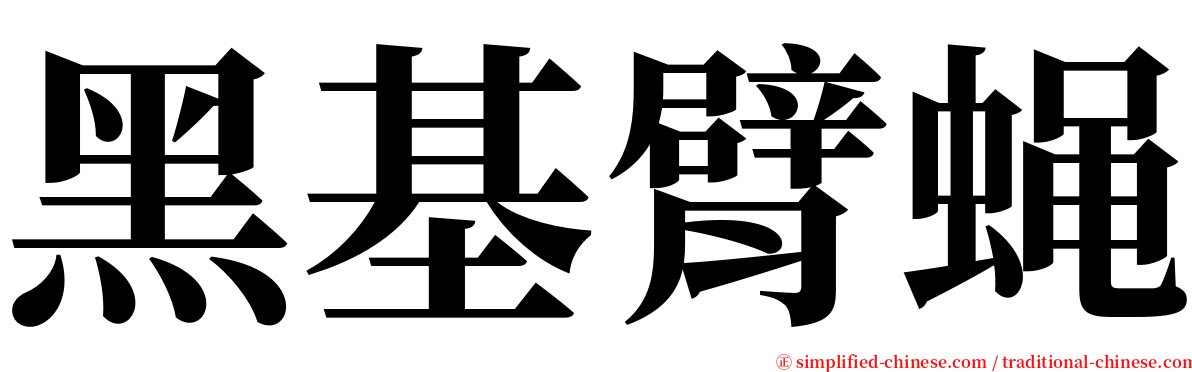 黑基臂蝇 serif font
