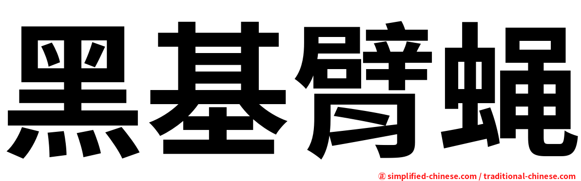 黑基臂蝇