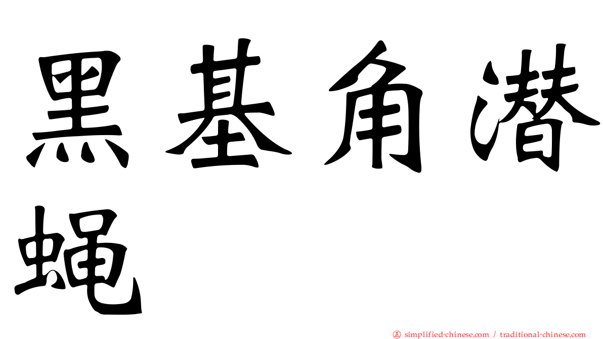 黑基角潜蝇