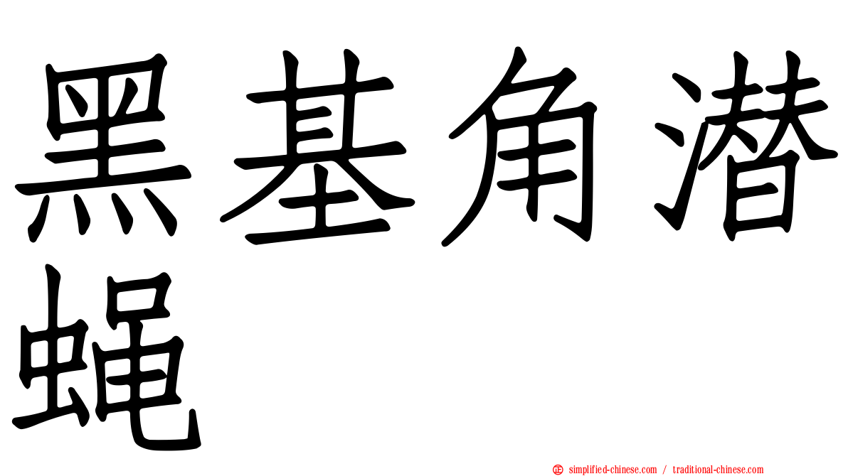 黑基角潜蝇