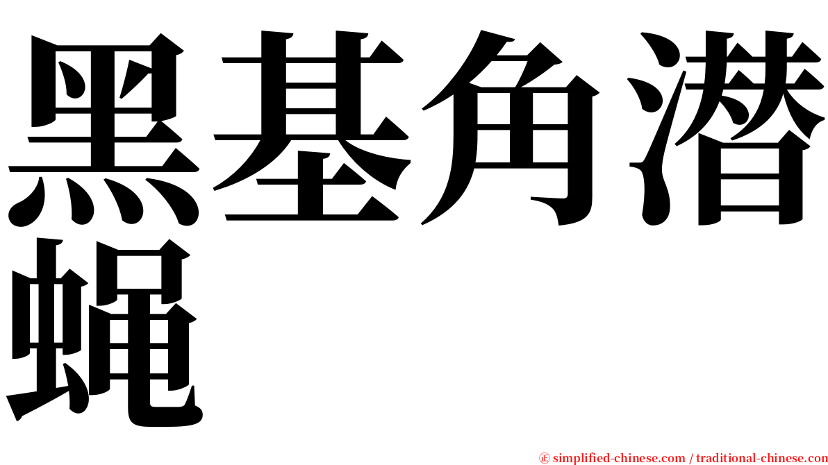 黑基角潜蝇 serif font