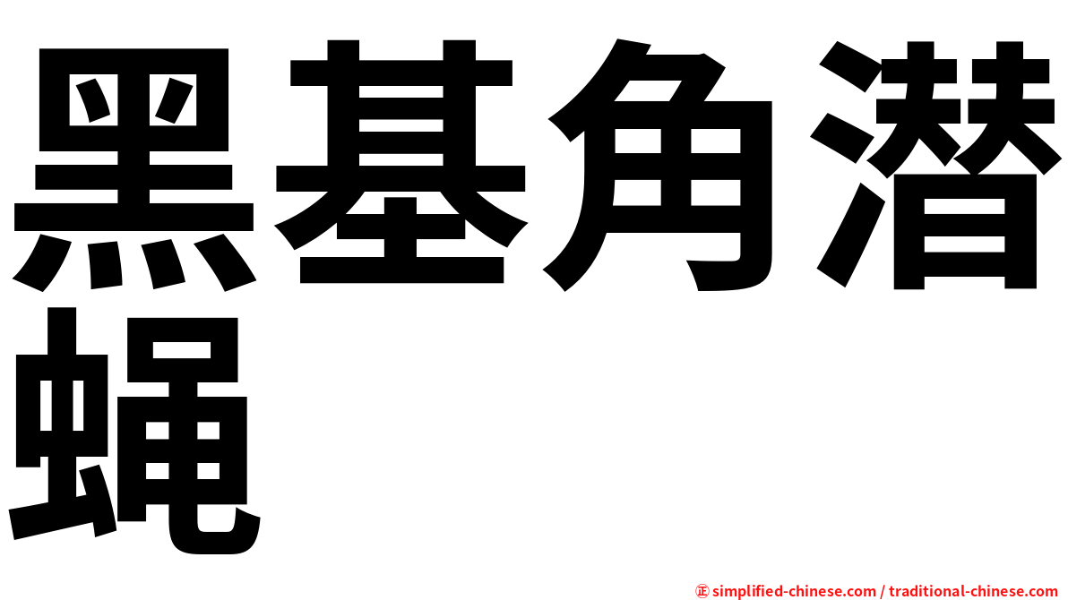 黑基角潜蝇
