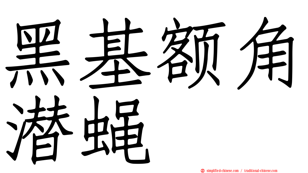 黑基额角潜蝇