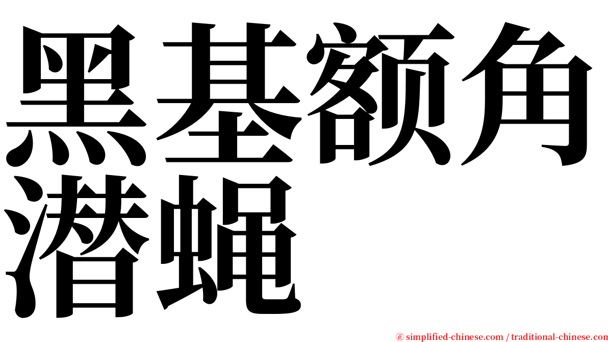 黑基额角潜蝇 serif font