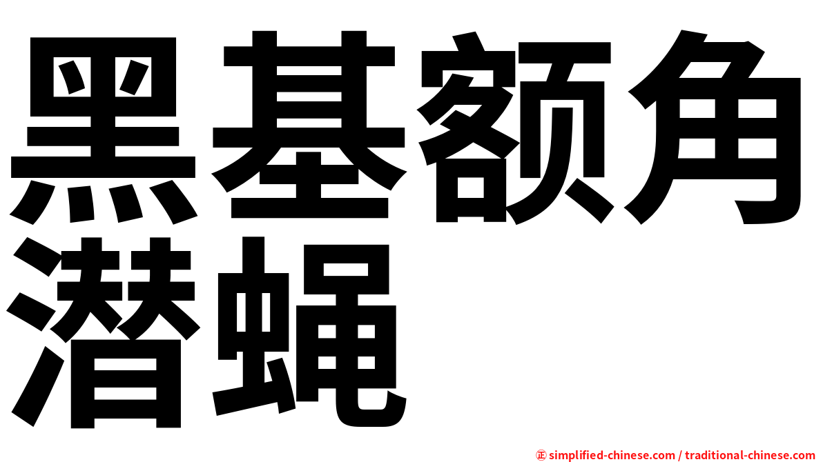 黑基额角潜蝇